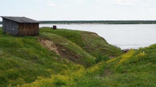 В Ижемском районе несколько дней разыскивают женщину, которая страдает потерей памяти