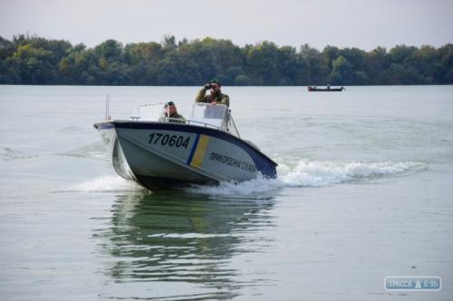 10-килограмовая севрюга попалась в сети рыбаков на Дунае. Видео
