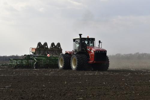 В 12 муниципалитетах Оренбуржья уже не сеют зерновые