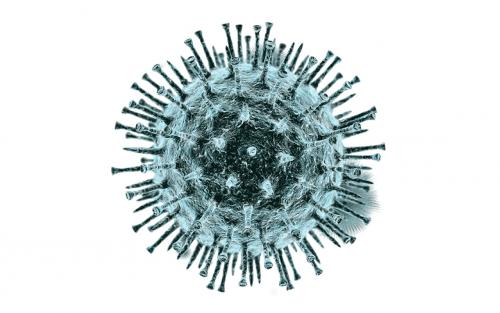 28 марта. В Липецкой области выявили еще три случая заражения коронавирусной инфекцией