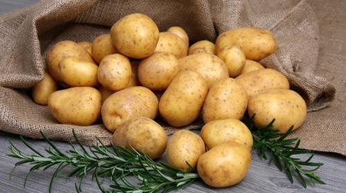 Ученые рекомендуют урожайные сорта картофеля