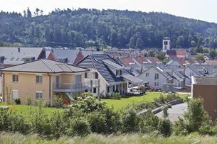 Отрицательный процент в Швейцарии похоронил мечту о собственном доме