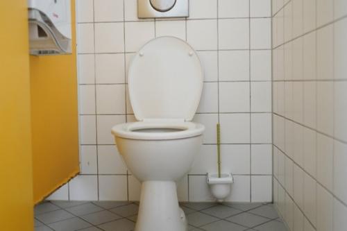 Скандал разразился в школе Пензы из-за снятых с туалетов дверей во время ЕГЭ