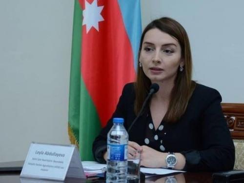 Лейла Абдуллаева: мир еще раз подтвердил позицию Азербайджана