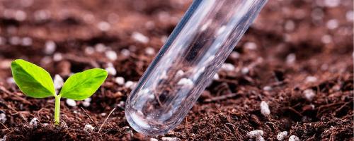 Как это работает: агрохимический анализ почвы для полноценного развития угодий