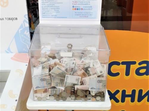 Более двадцати тысяч рублей на лечение детей собрали брянцы в торговом центре