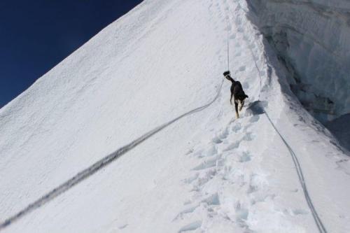Собака в Непале забралась на 7 тысяч метров