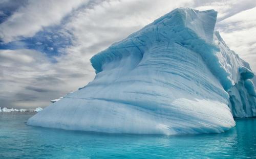 Путешествие в Антарктиду застраховал один из туристов на 8 марта