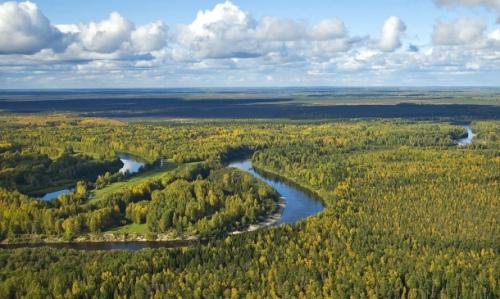 Поворот сибирских рек: откуда взялась эта идея