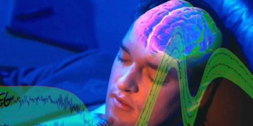 Ученые доказали возможность обучения во время сна