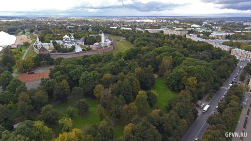 Появилась инициатива о новых деревьях в Кремлёвском парке