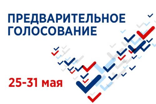 В «Единой России» началось предварительное голосование