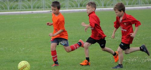 На Кубани допускается проведение официальных физкультурных и спортивных соревнований