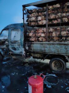 В Волгоградской области заживо сгорели сотни кур